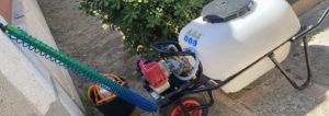 Control de Plagas Procesionaria en Mallorca Pest Control: Schädlingsbekämpfung auf Mallorca