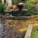 Mantenimiento de Jardines en Mallorca Garden Maintenance. Gartenpflege auf Mallorca