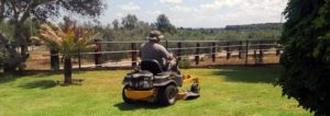 Jardineros Mallorca: Servicios de Jardinería en Mallorca. Gardeners Mallorca: Services of Gardening in Mallorca. Gärtner Mallorca: Gartenarbeiten auf Mallorca