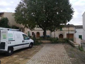 Gartenpflege auf Mallorca Mantenimiento de jardines en Mallorca Garden maintenance
