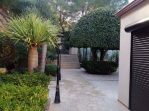 Mantenimiento de jardines Gartenpflege en Mallorca Garden maintenance Mallorca