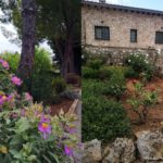 Mantenimiento de jardines en Mallorca, Garden maintenance in Mallorca, Gartenpflege auf Mallorca