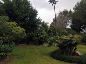 jardineros empresa de jardinería en Mallorca gardeners gardening company Gärtner Gartenbauunternehmen auf Mallorca